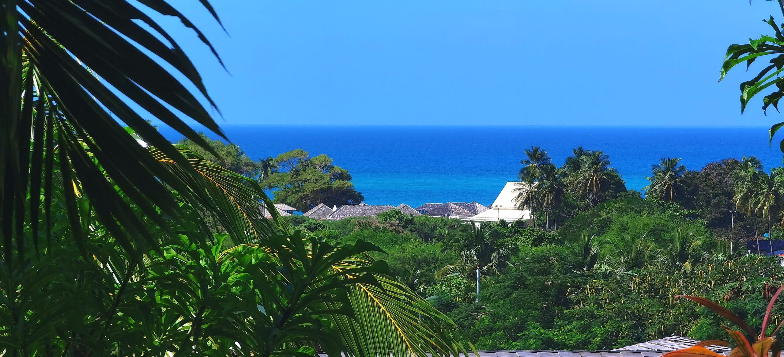 Vue mer de l'hébergement " Bohème Carïb"