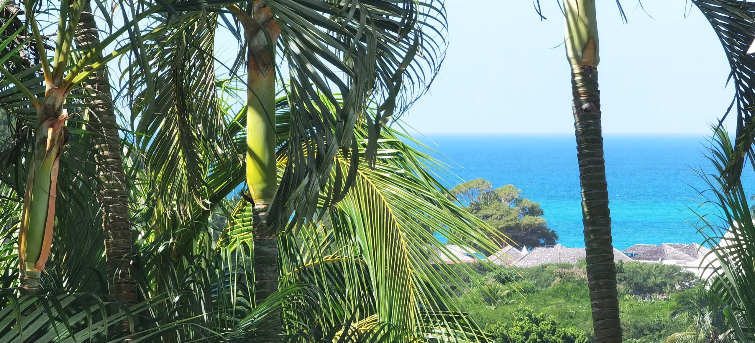 Vue mer de l'hébergement " Coco Carïb"Deshaies Guadeloupe