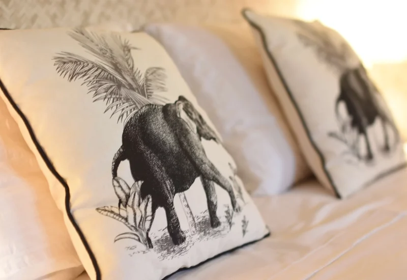 Coco, coussins beige avec impression éléphants noir hébergement coco carïb Deshaies Guadeloupe