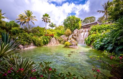 Jardin botanique deshaies
