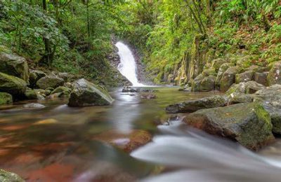 cascade foret tropicale
