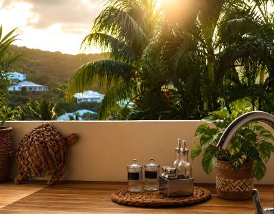 cuisine Coco Carib